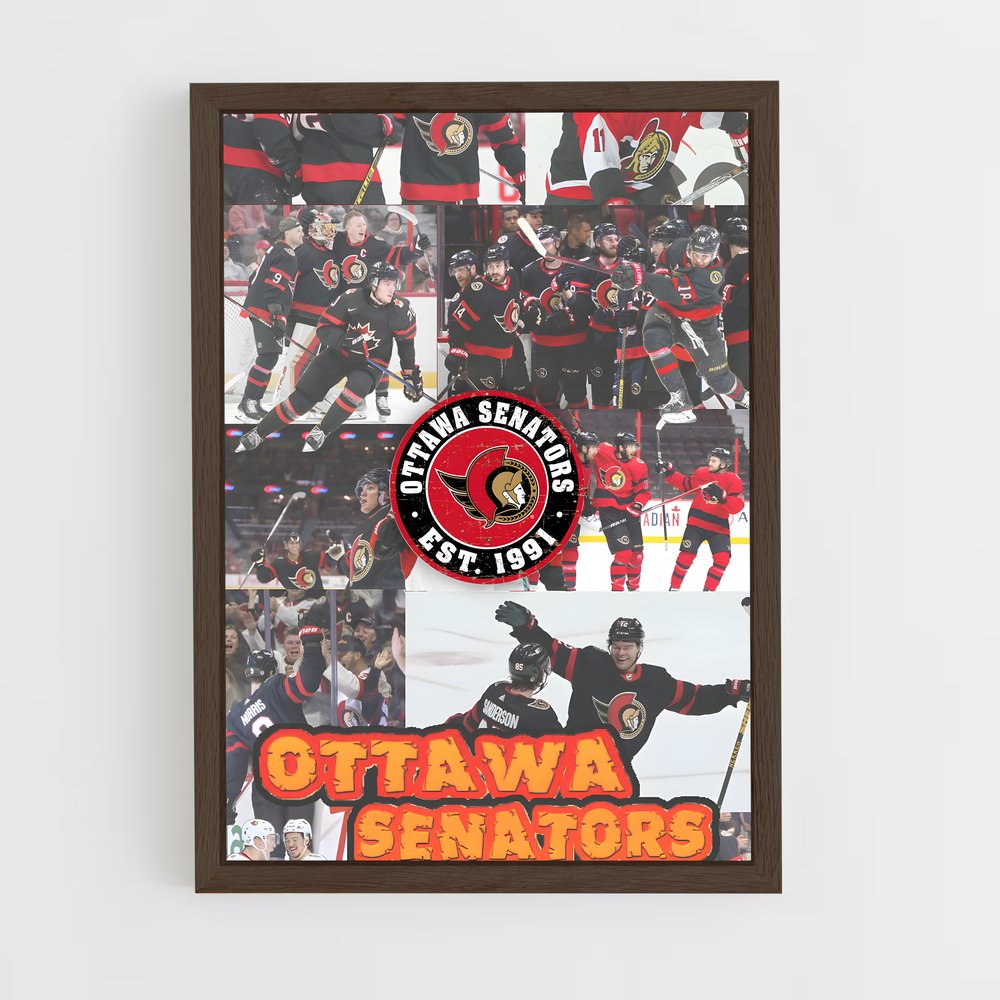 Poster Sensations Ottawa – affiche Hockey sur glace (vue 5)